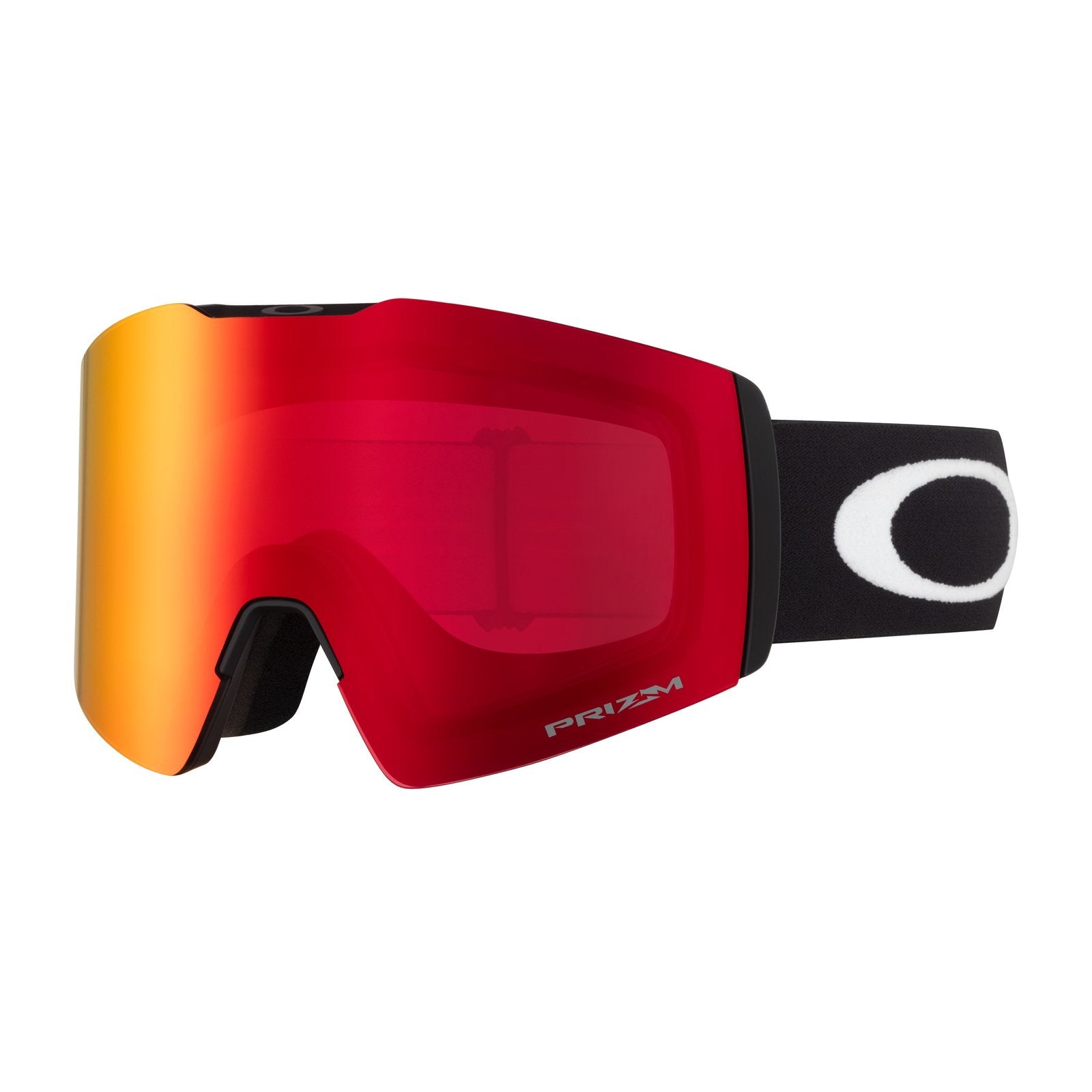 Fall Line L Snow Goggle