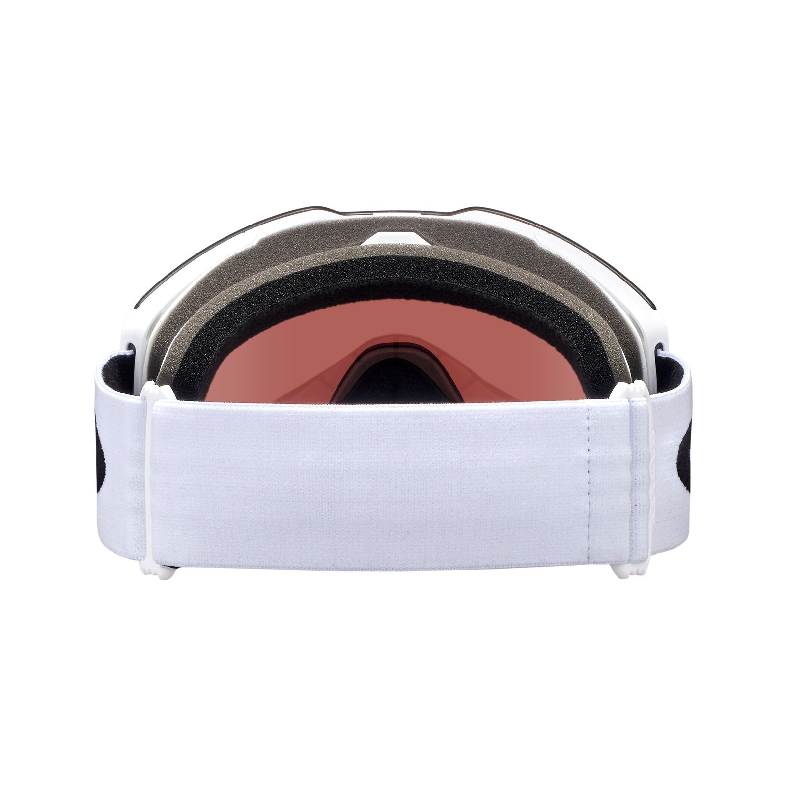 Fall Line L Snow Goggle