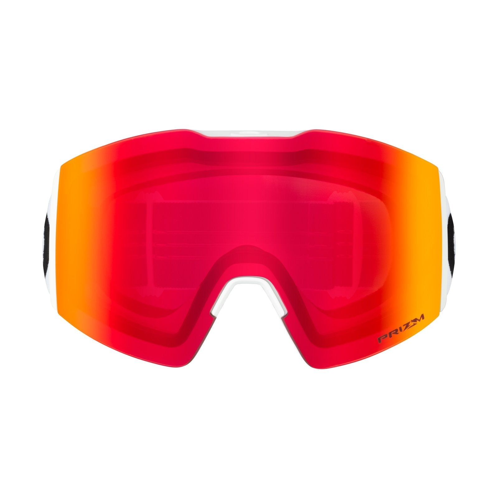 Fall Line L Snow Goggle