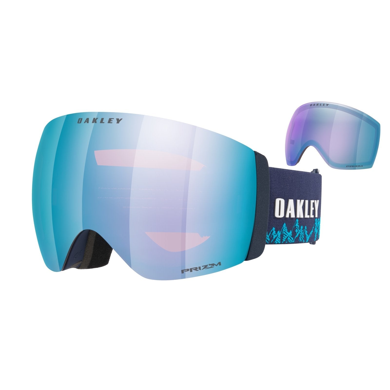 Flight Deck Pro L Snow Goggle