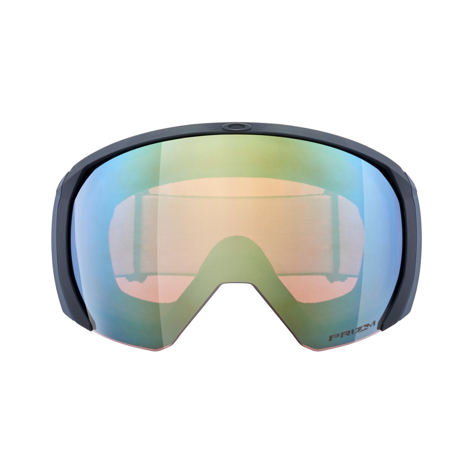 Flight Path L Snow Goggle