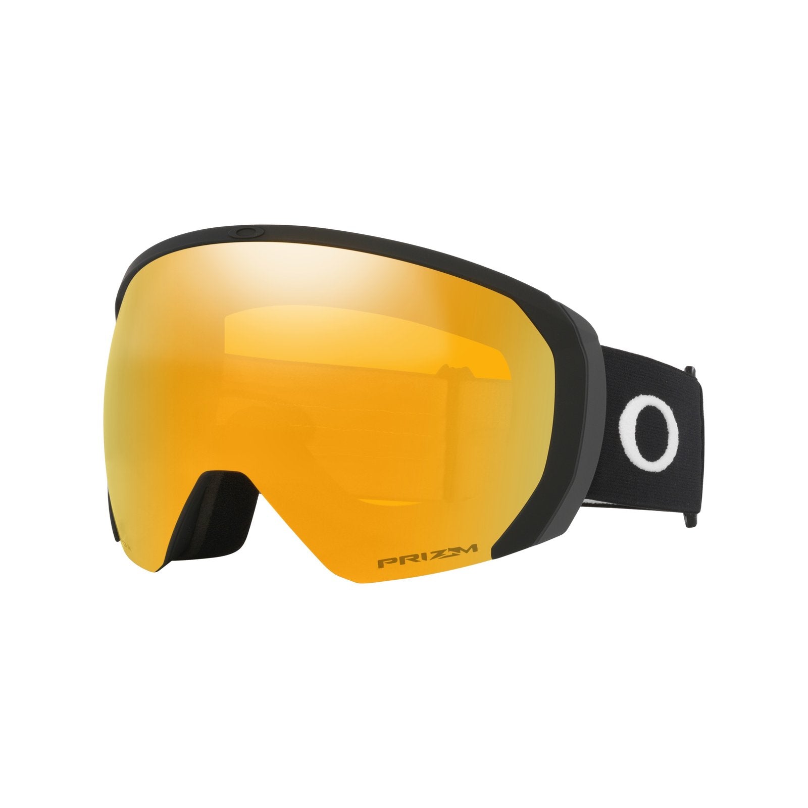 Flight Path L Snow Goggle