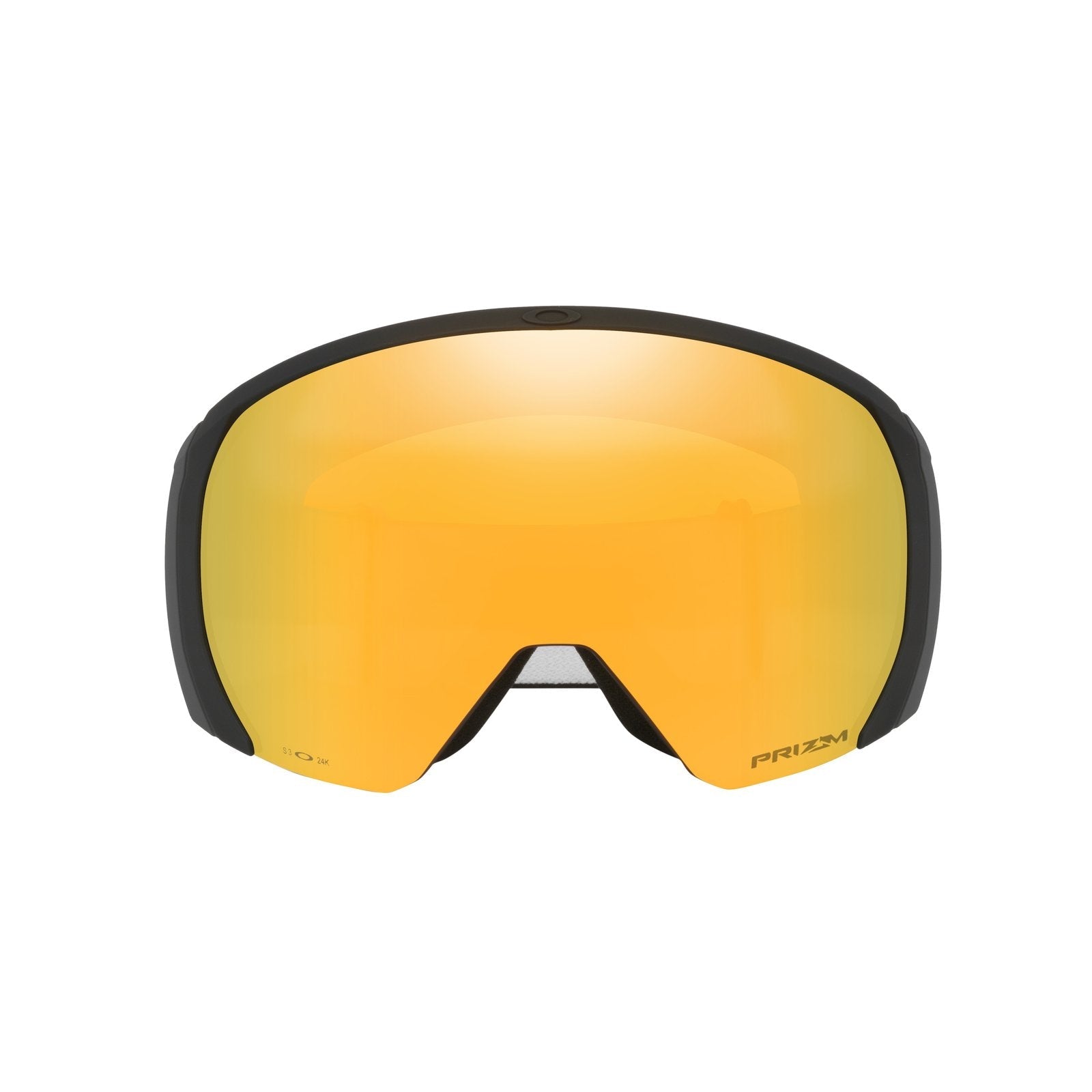 Flight Path L Snow Goggle