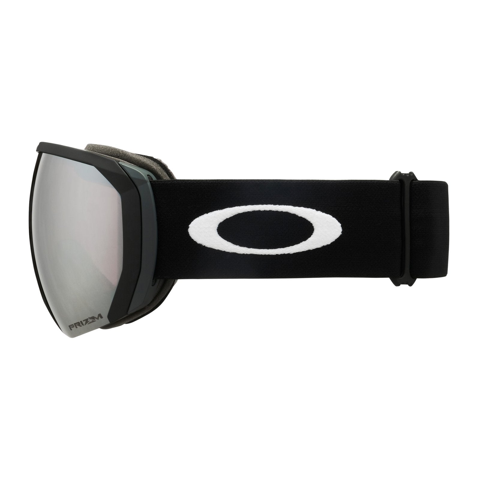 Flight Path L Snow Goggle