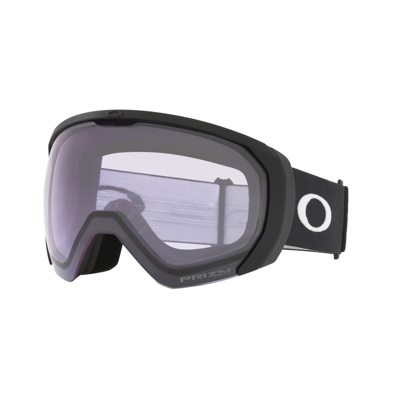 Flight Path L Snow Goggle