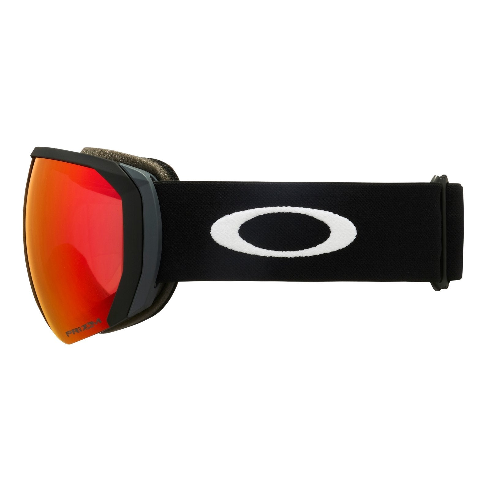 Flight Path L Snow Goggle