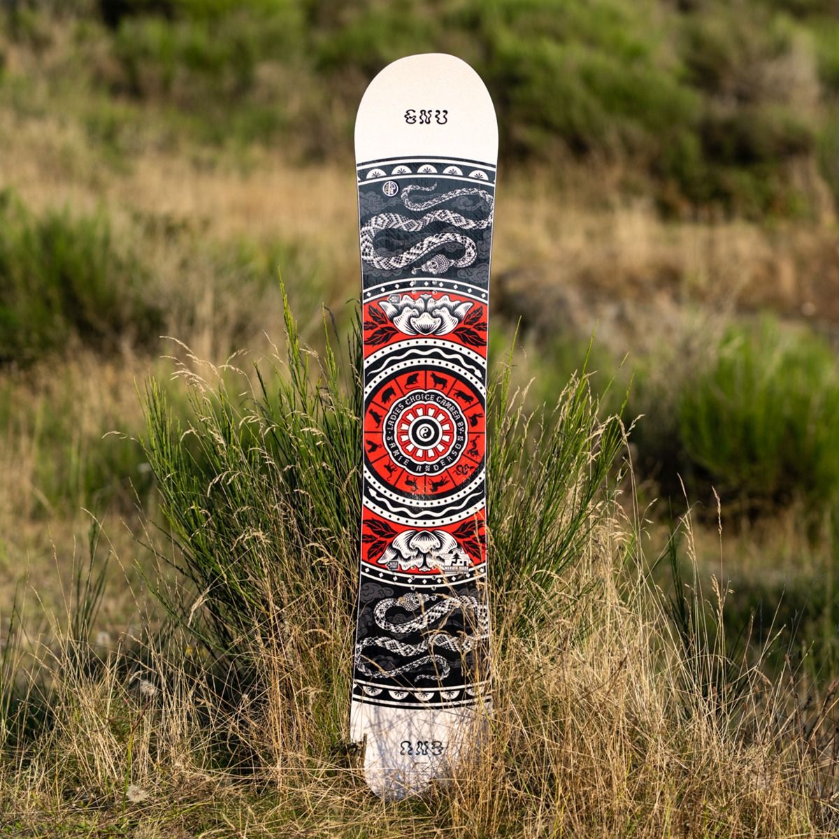 Ladies Choice Camber Snowboard