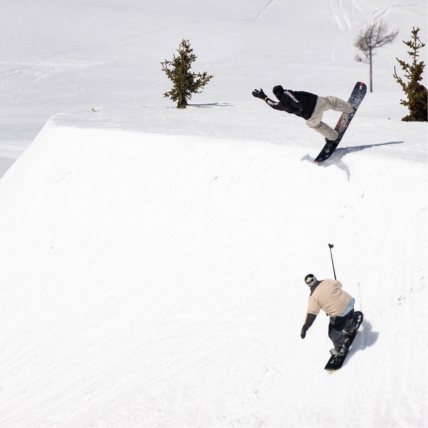 Skunk Ape Snowboard