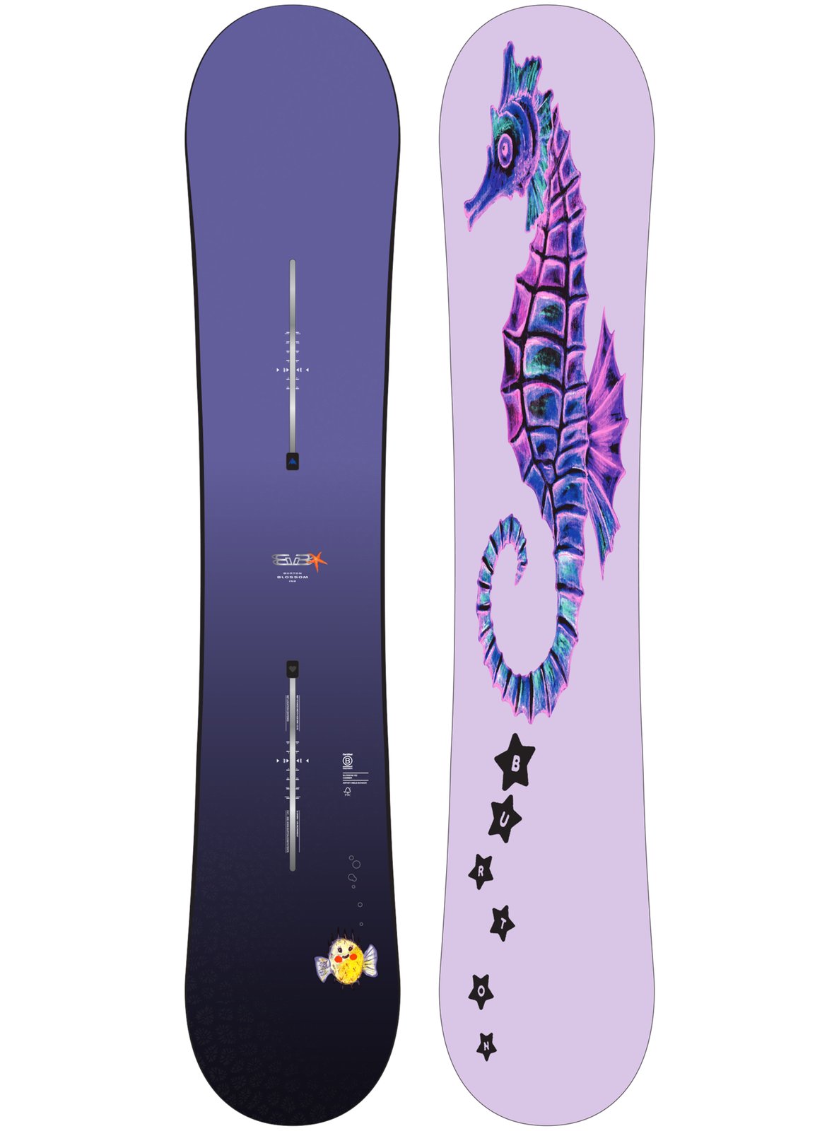 Blossom Camber Snowboard Seahorse - Image 1