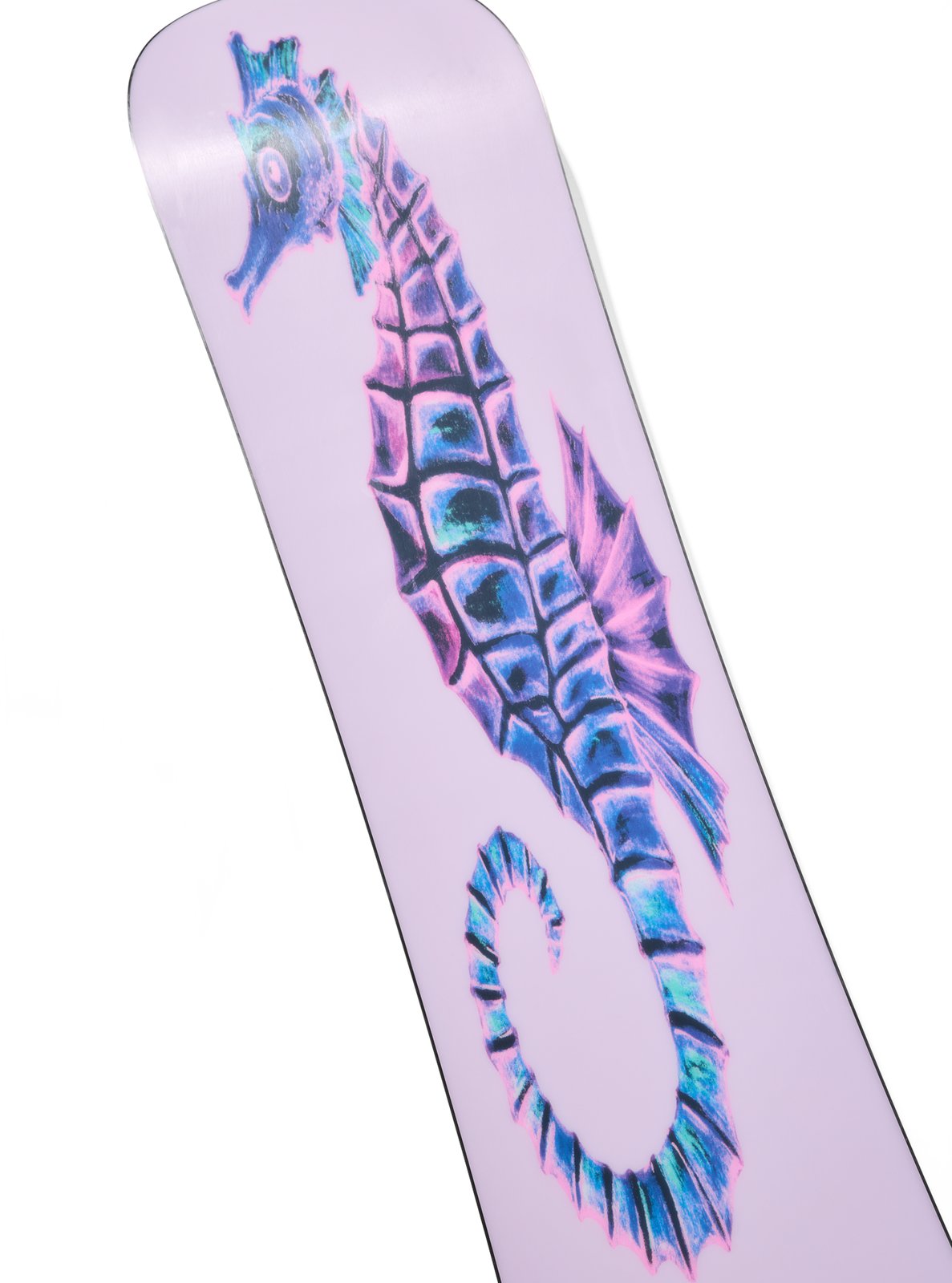 Blossom Camber Snowboard Seahorse - Image 5