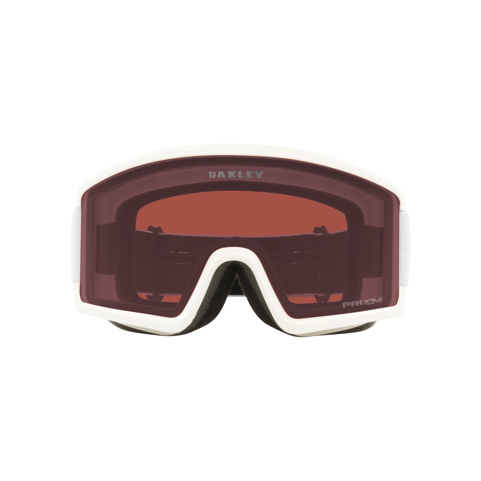 Target Line L Snow Goggle