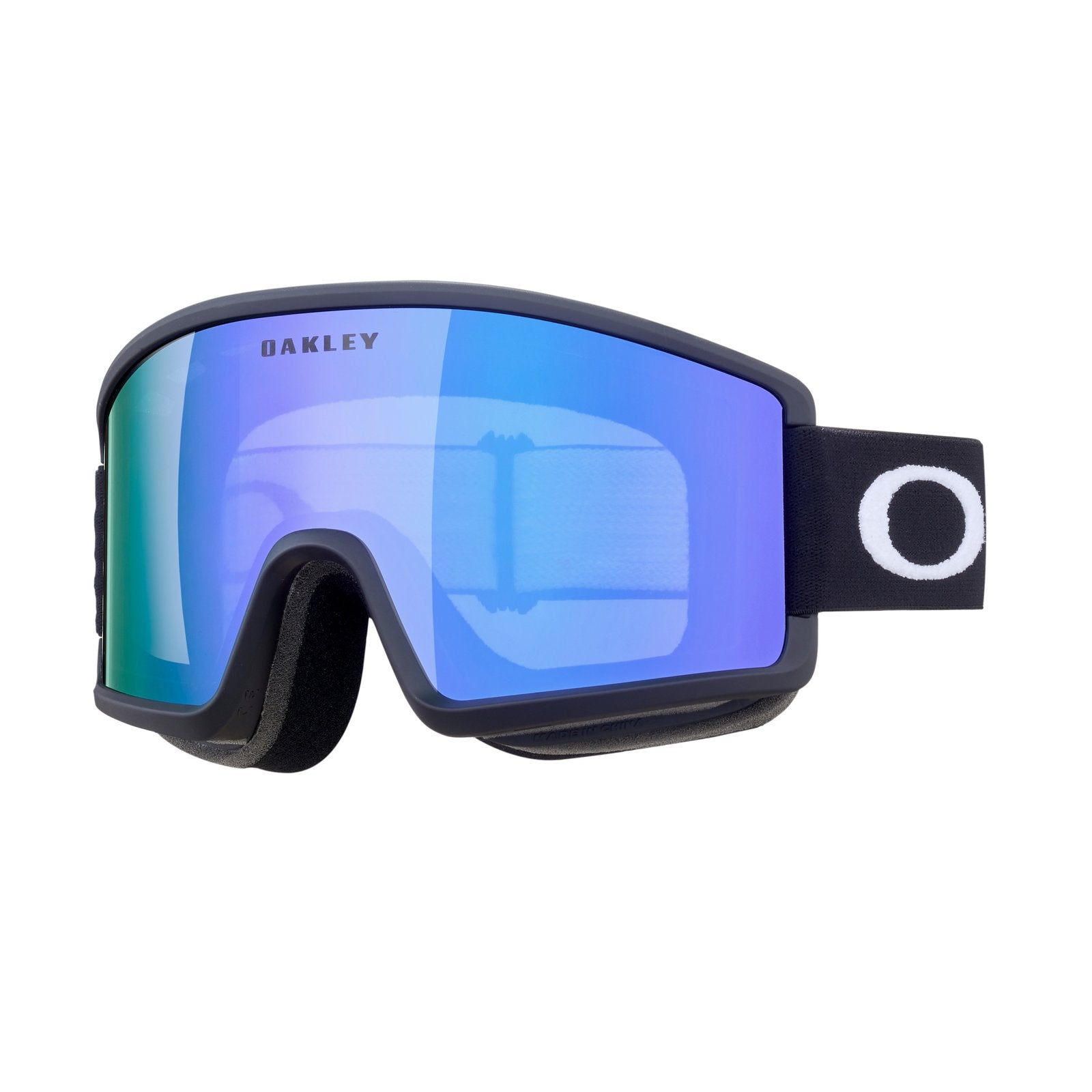 Target Line M Snow Goggle