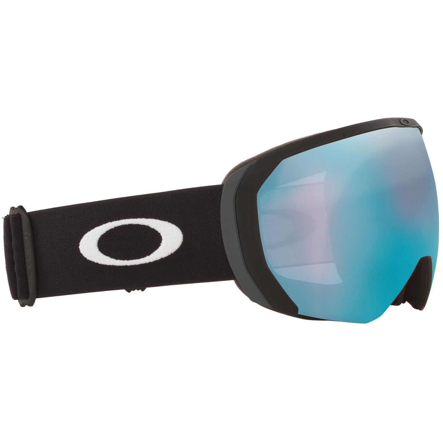 Flight Path L Snow Goggle 2022