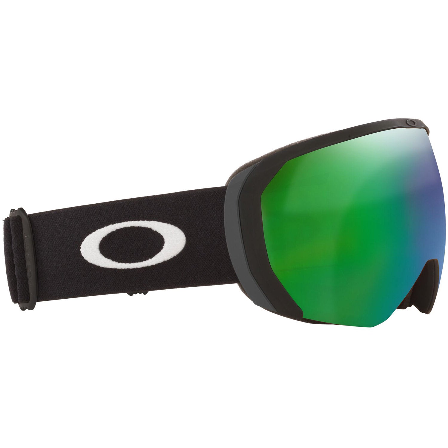 Flight Path L Snow Goggle 2022