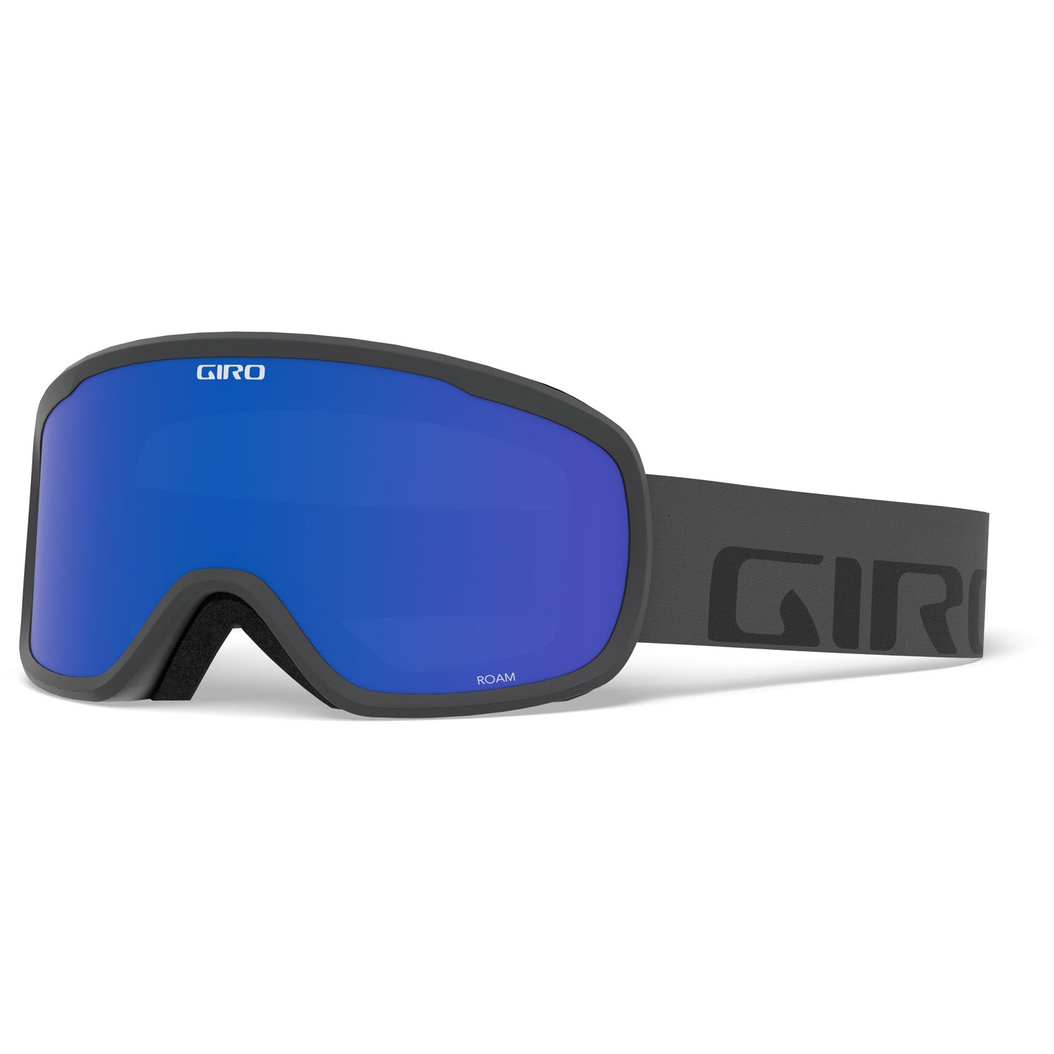 Giro Roam Goggle 2022