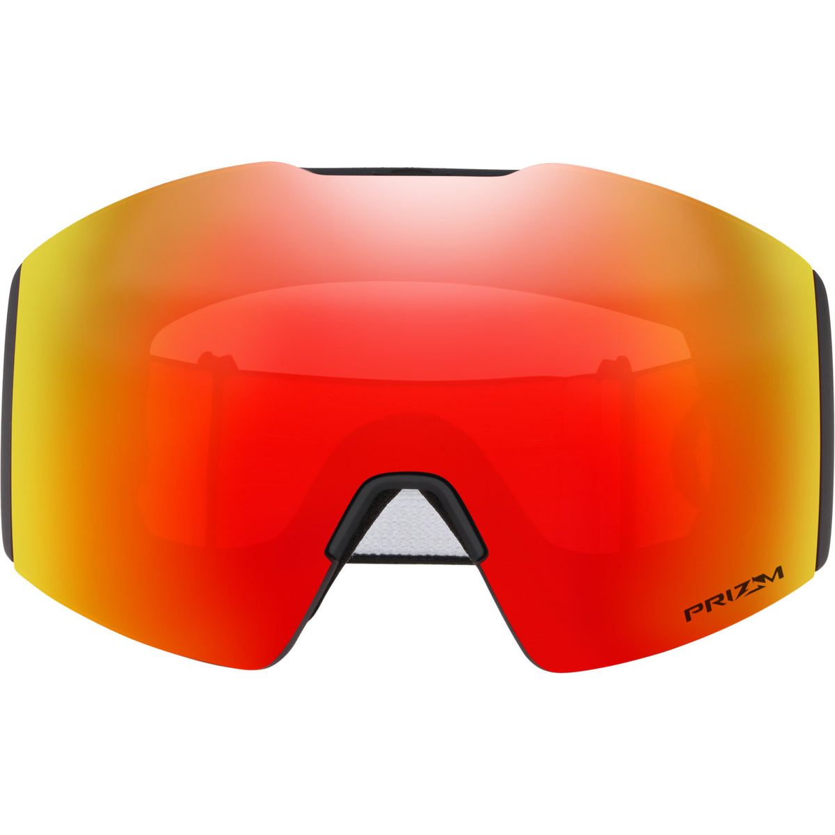 Fall Line L Snow Goggle