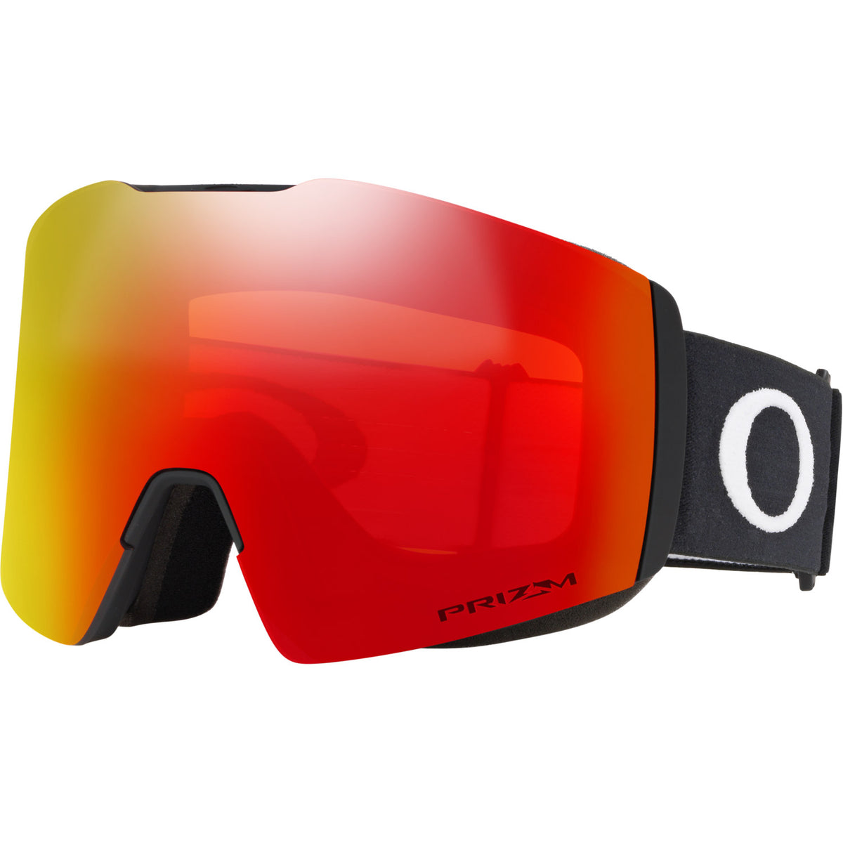 Fall Line L Snow Goggle