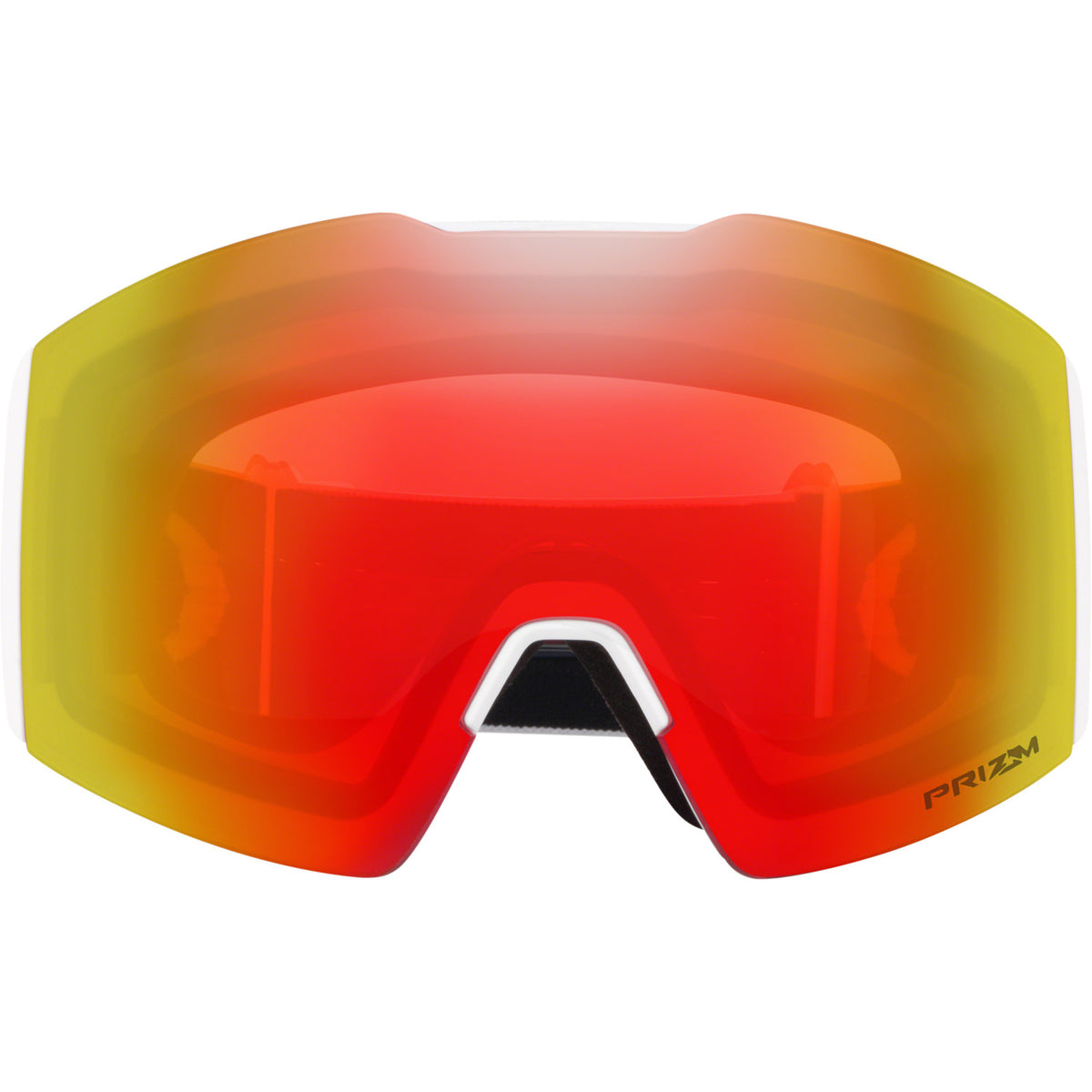 Fall Line L Snow Goggle