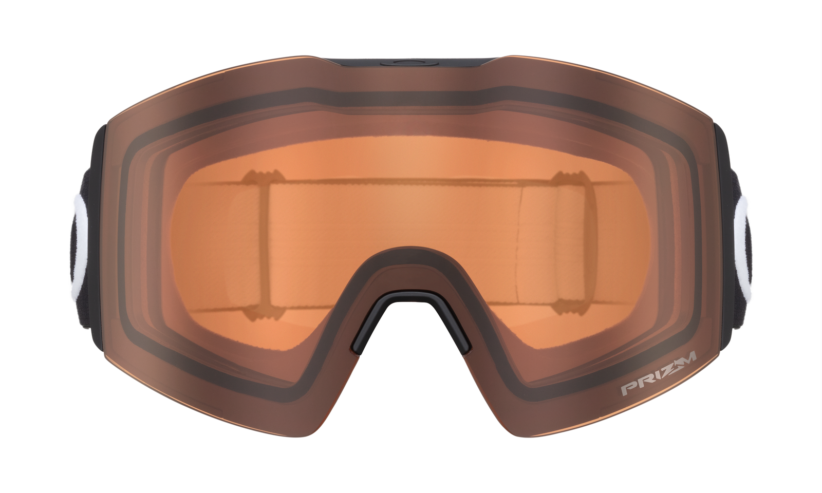 Fall Line L Snow Goggle