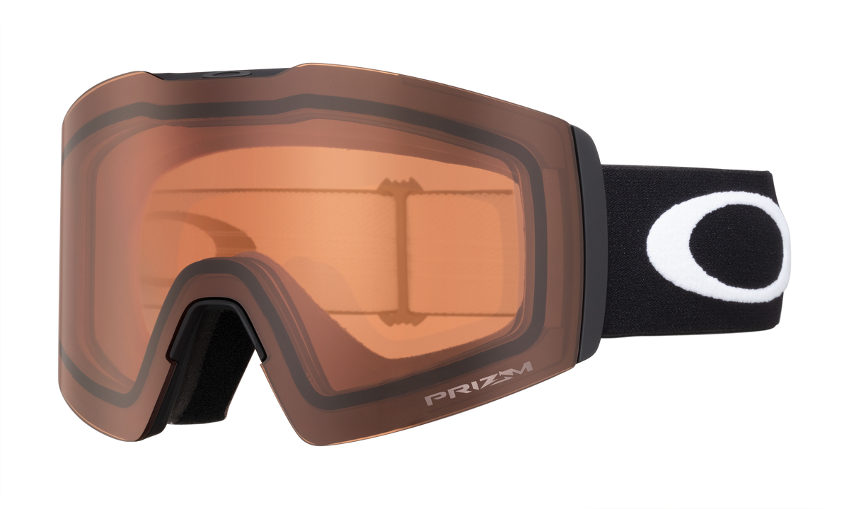 Fall Line L Snow Goggle