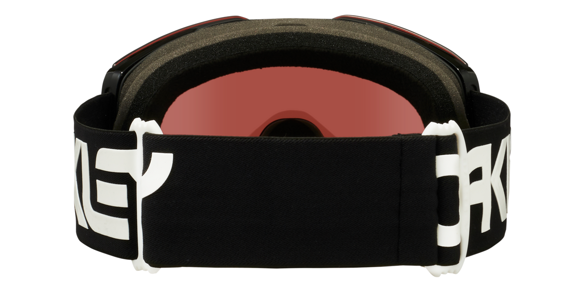 Fall Line L Snow Goggle