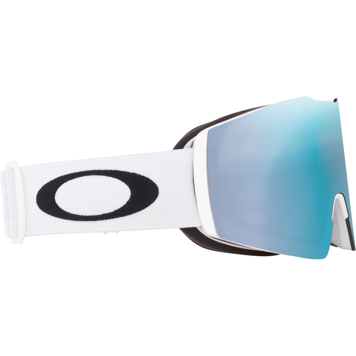 Fall Line L Snow Goggle