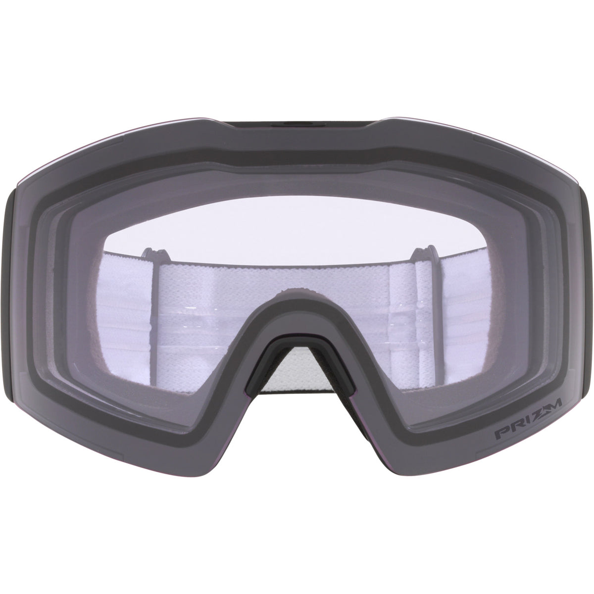 Fall Line L Snow Goggle