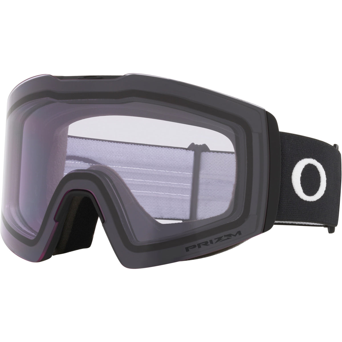 Fall Line L Snow Goggle