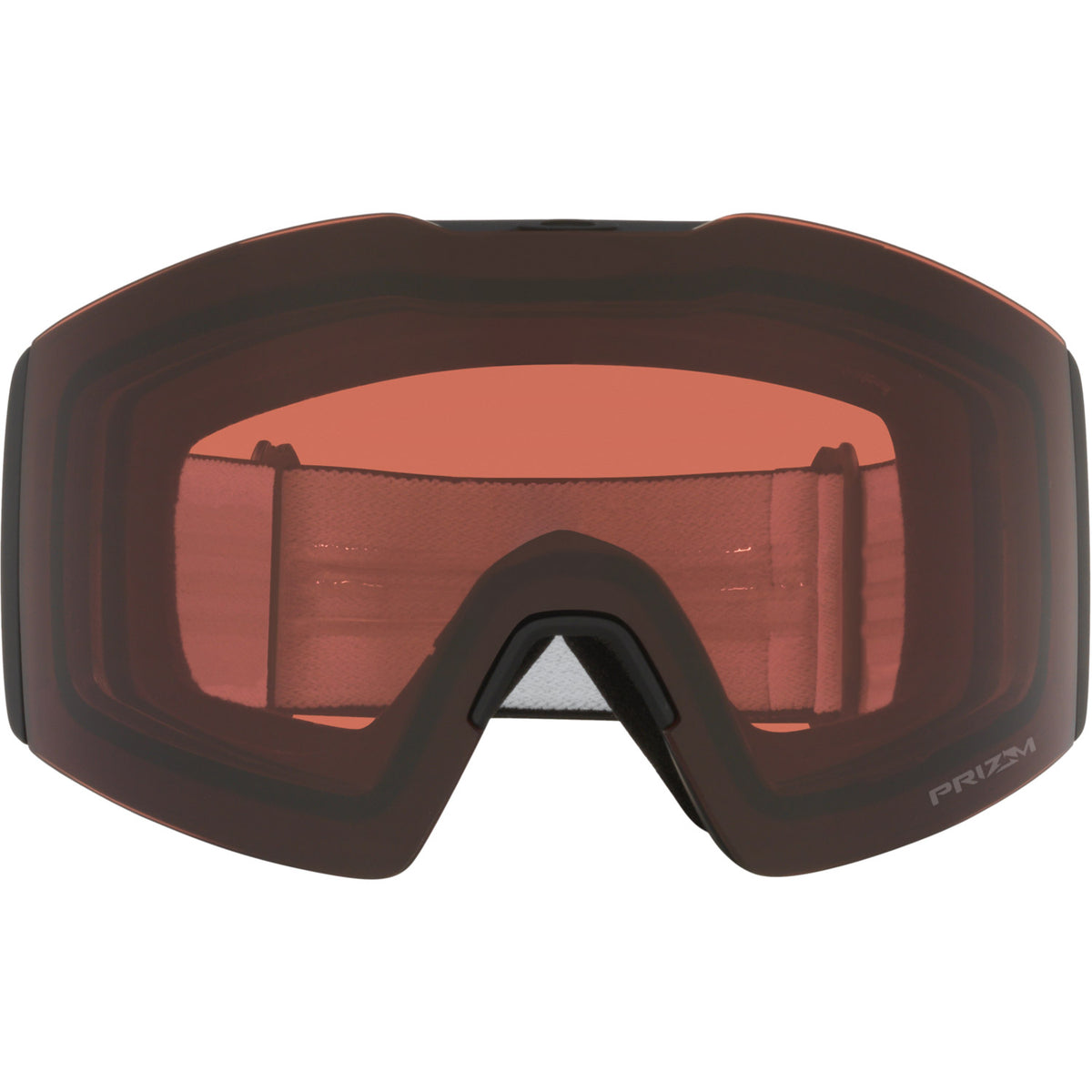 Fall Line L Snow Goggle