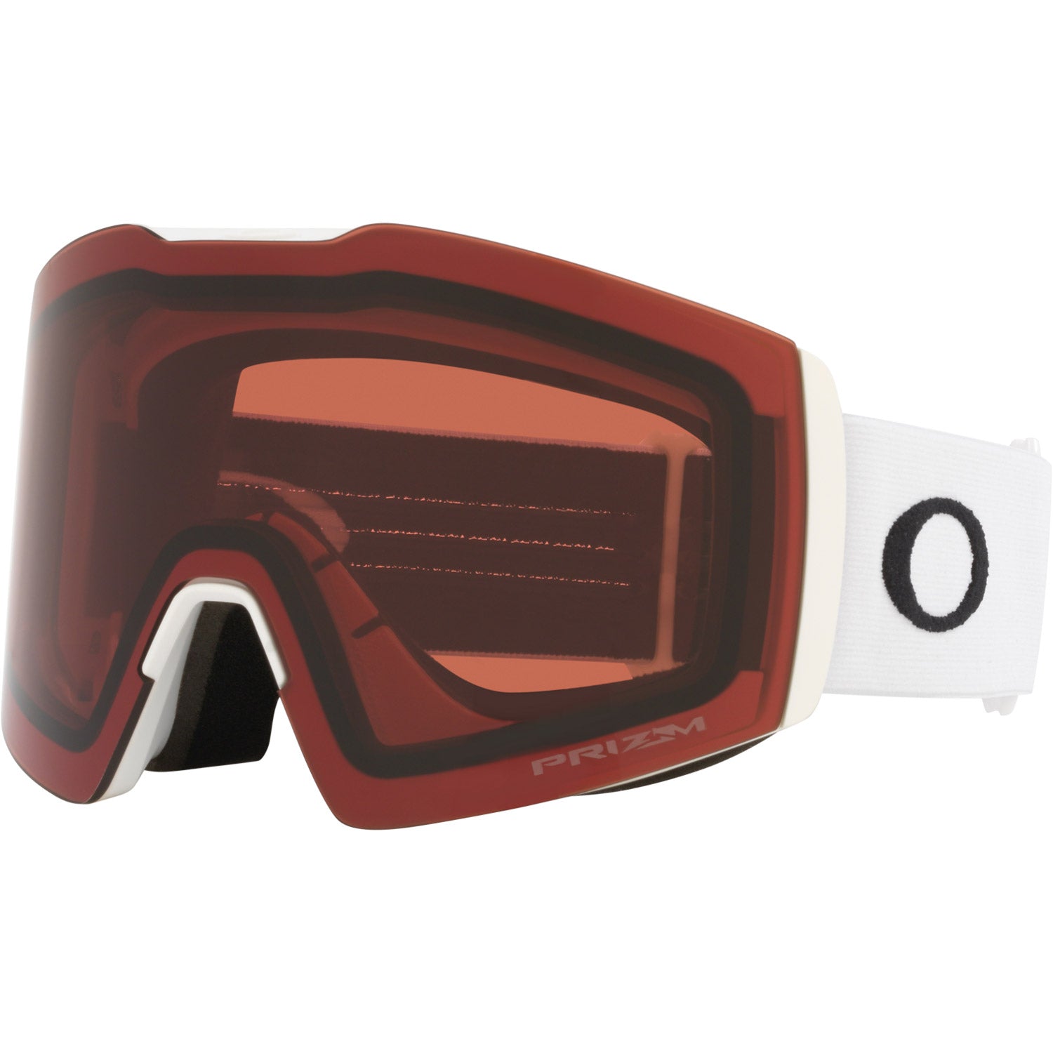 Fall Line L Snow Goggle