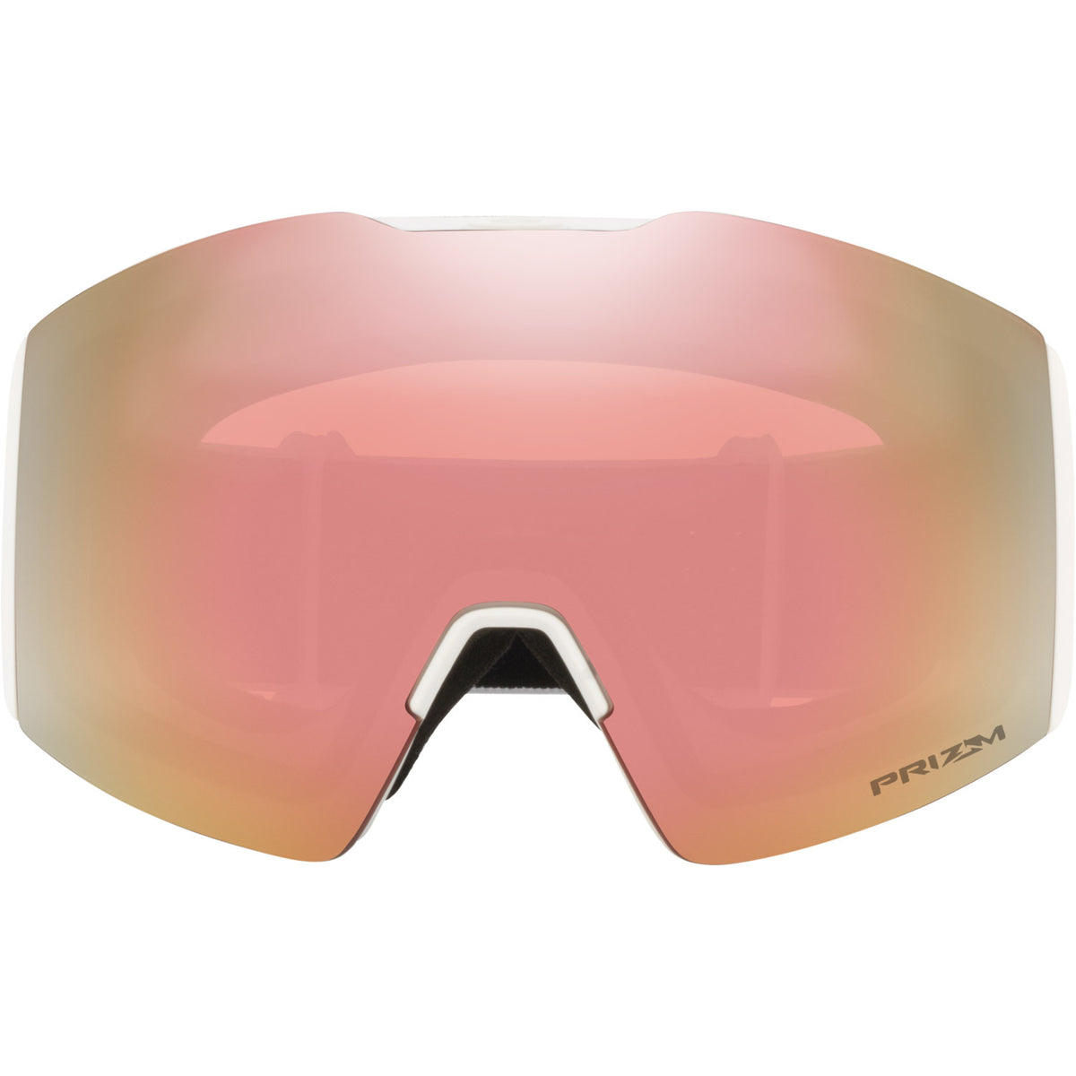 Fall Line L Snow Goggle