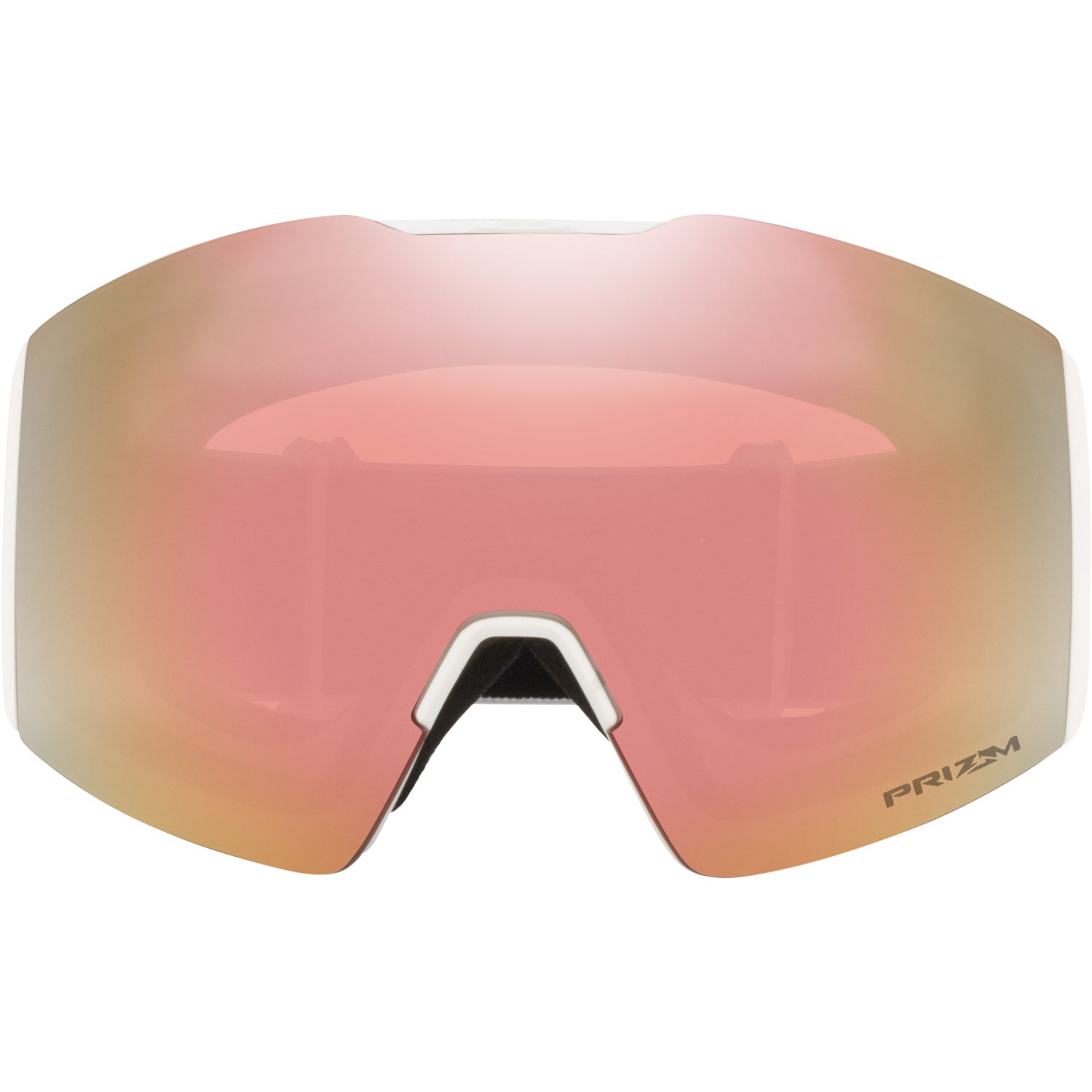 Fall Line L Snow Goggle