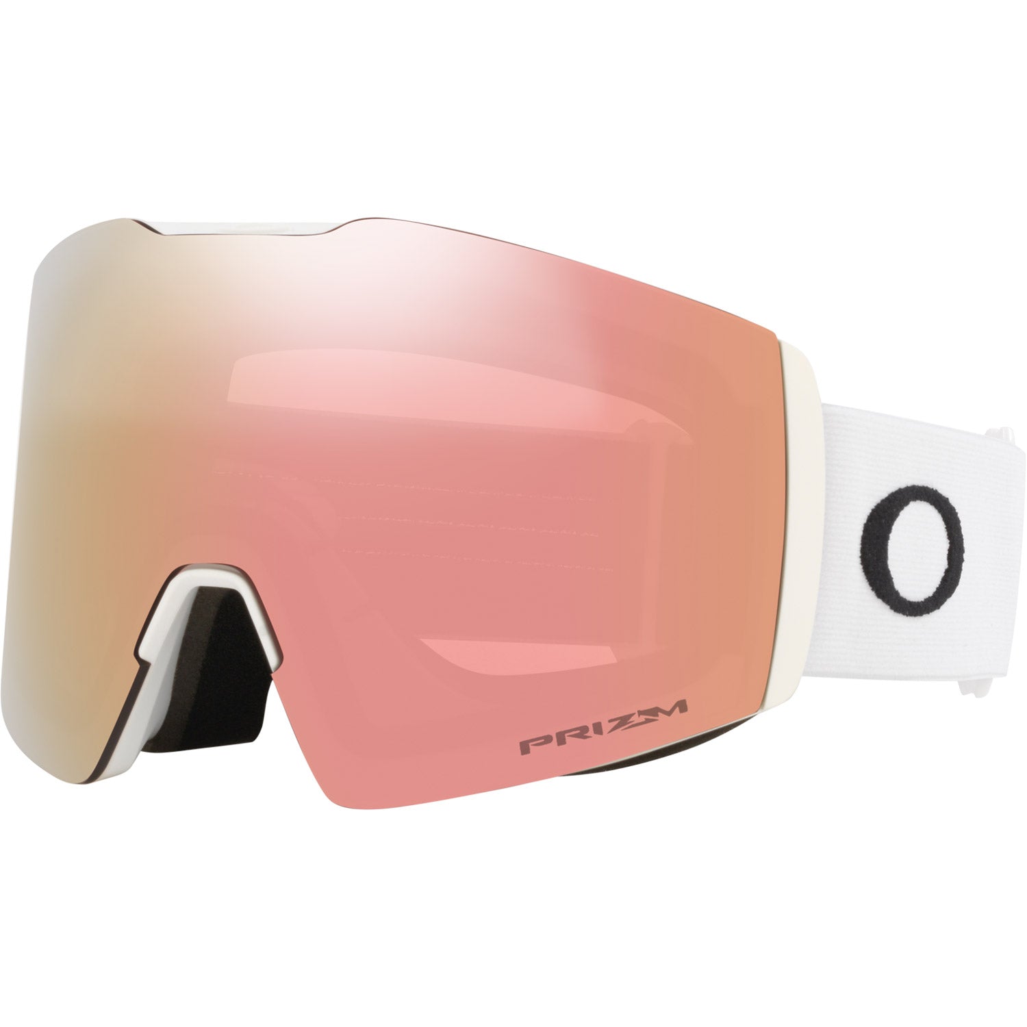 Fall Line L Snow Goggle