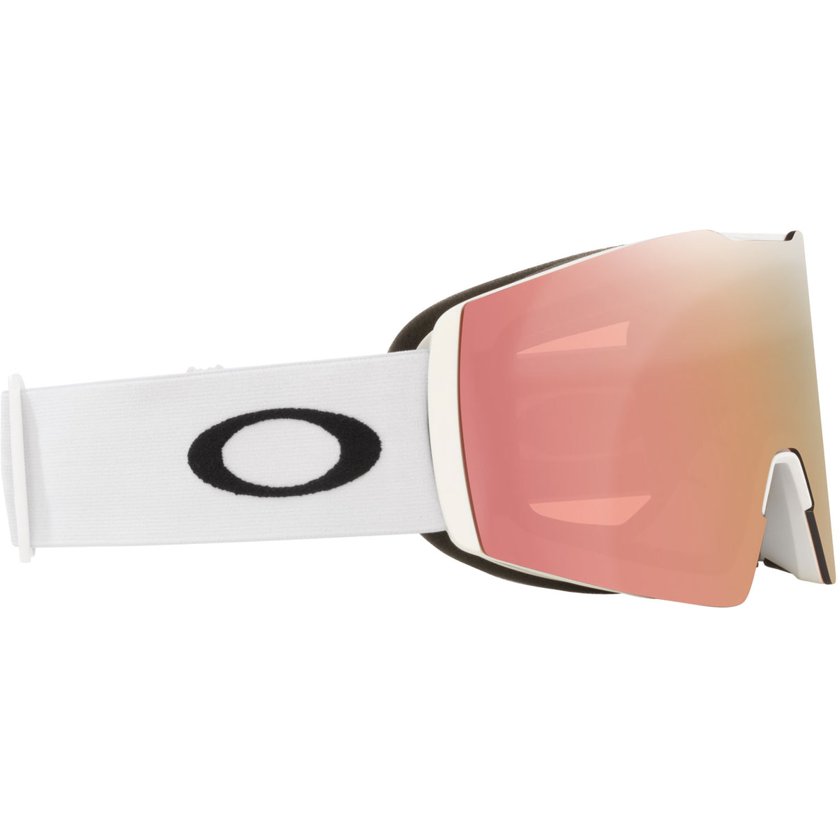 Fall Line L Snow Goggle