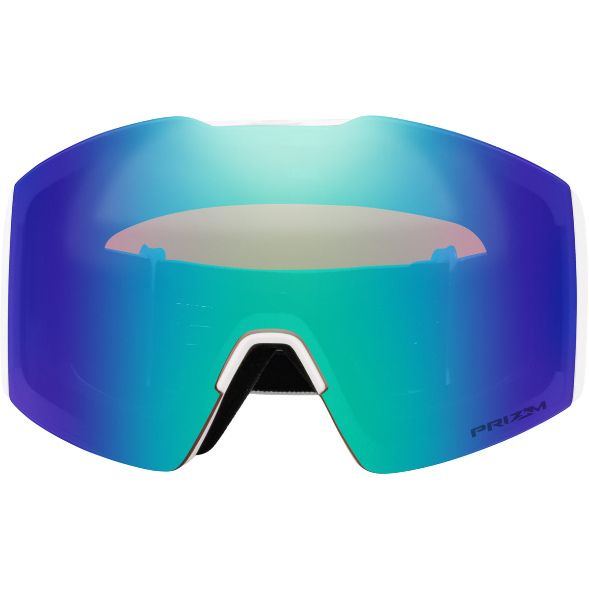 Fall Line L Snow Goggle