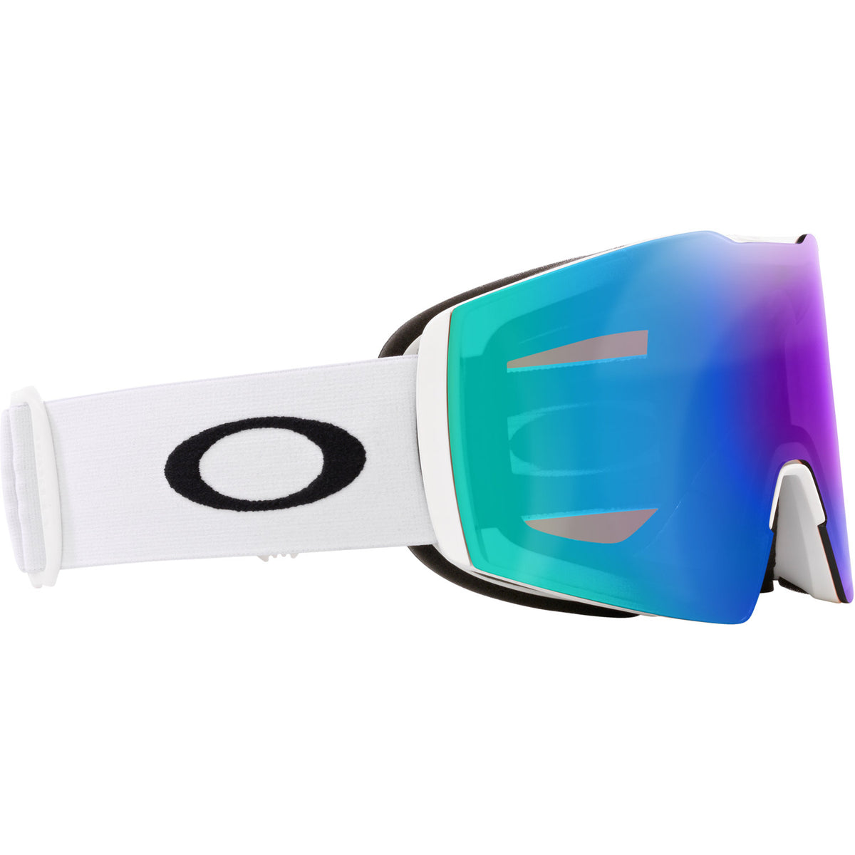 Fall Line L Snow Goggle