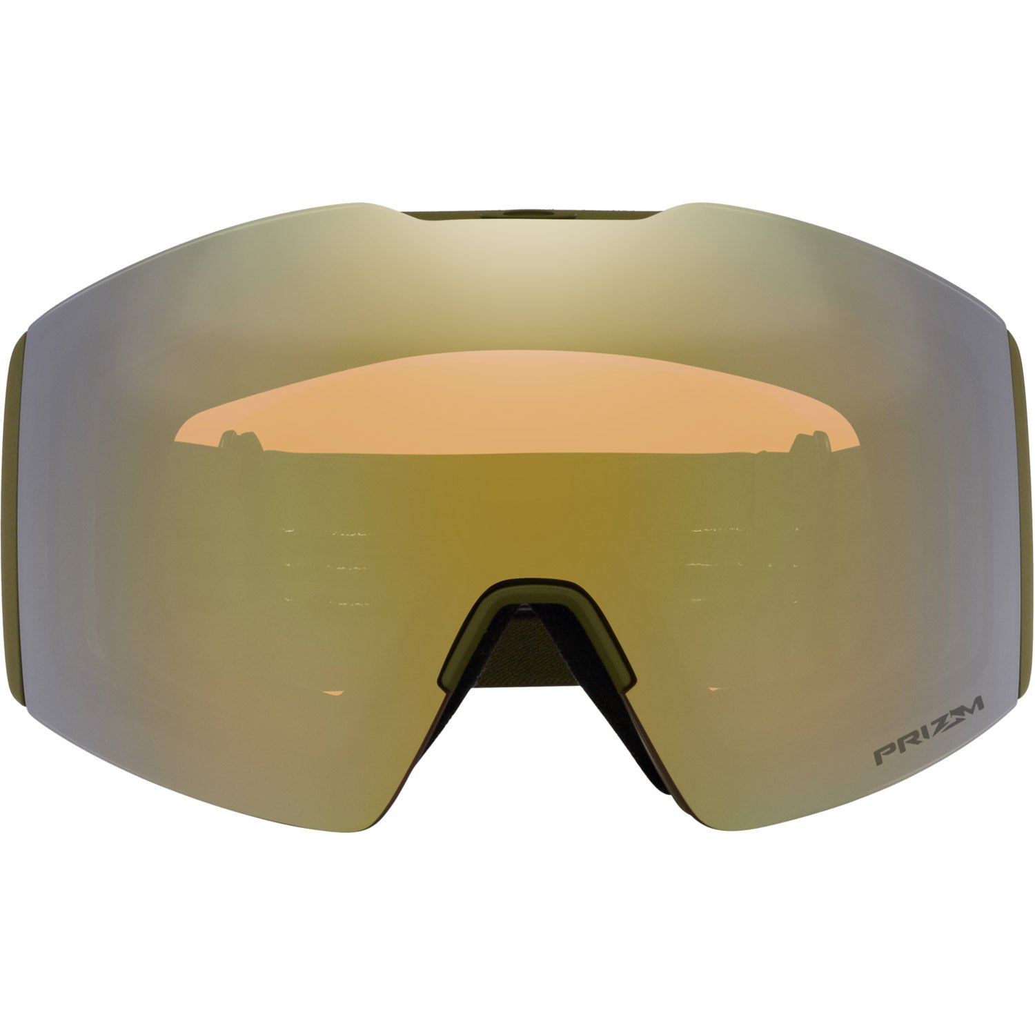 Fall Line L Snow Goggle