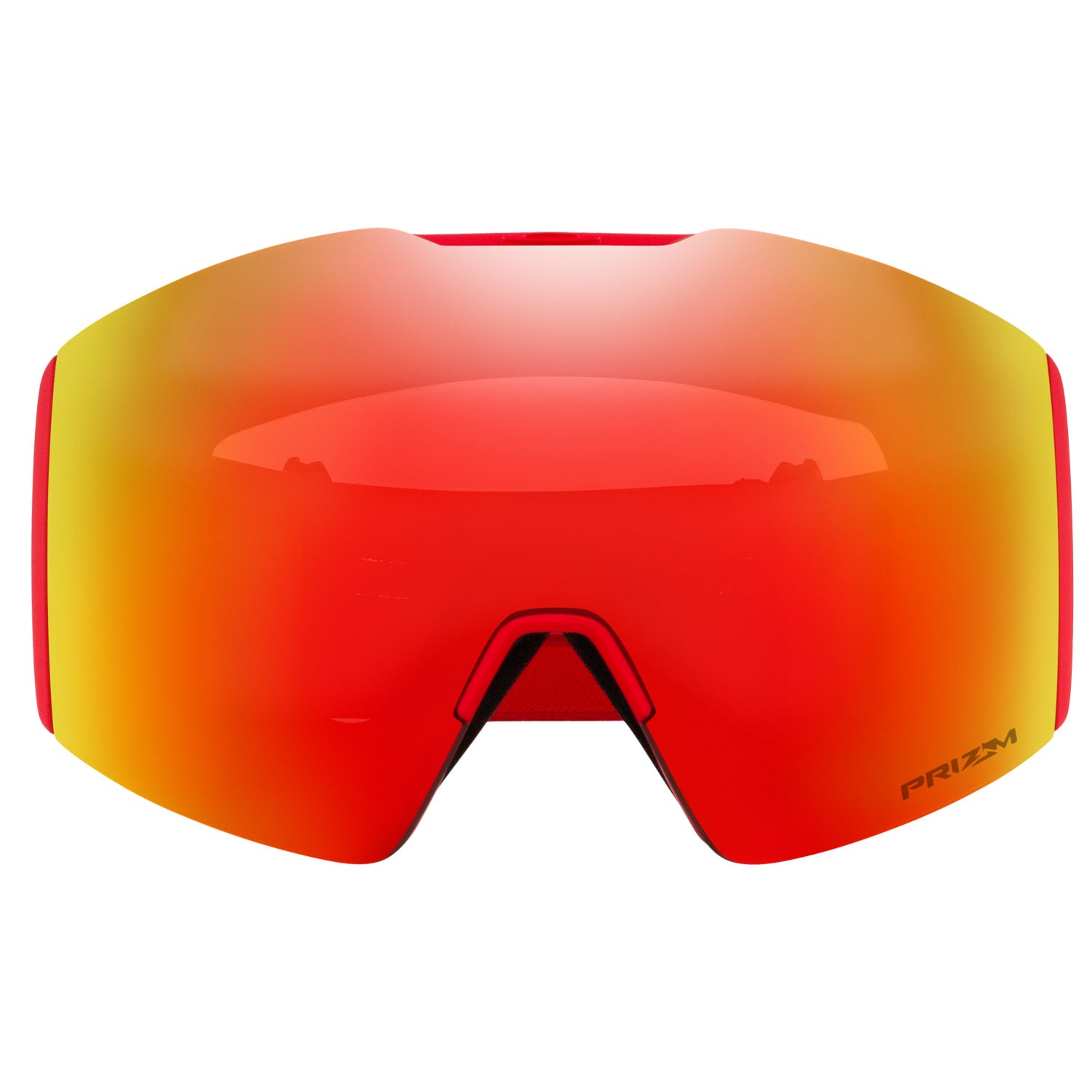 Fall Line L Snow Goggle