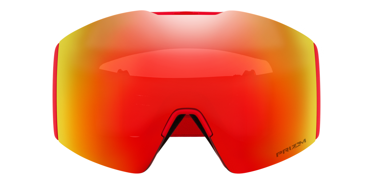Fall Line L Snow Goggle
