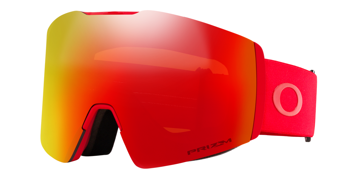 Fall Line L Snow Goggle