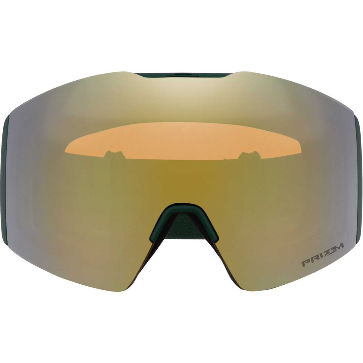 Fall Line L Snow Goggle