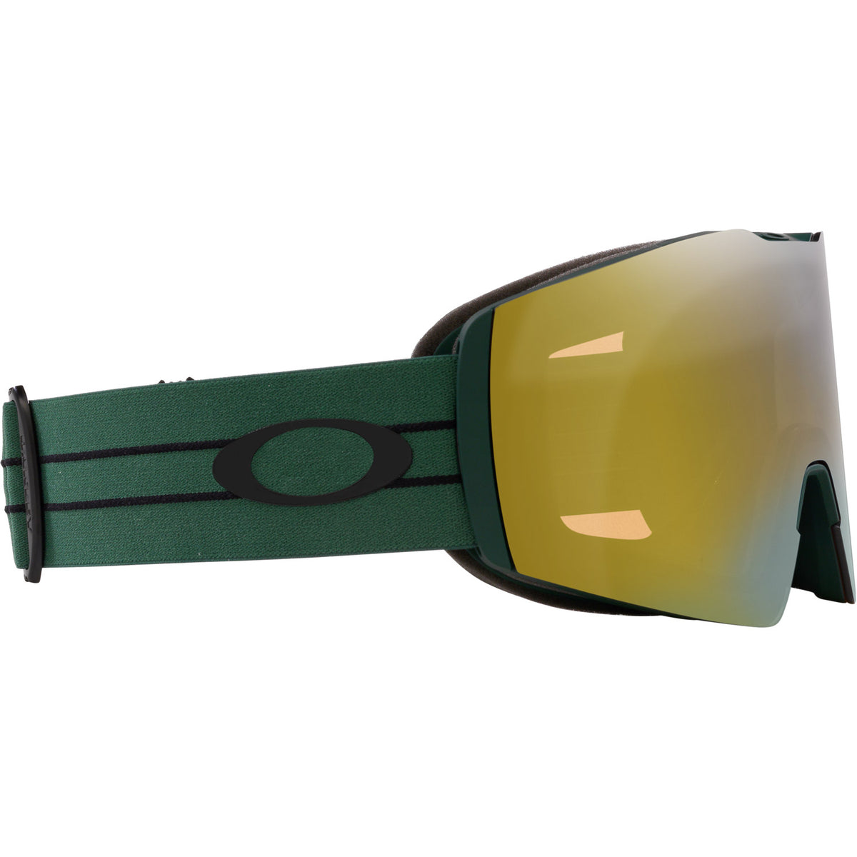 Fall Line L Snow Goggle