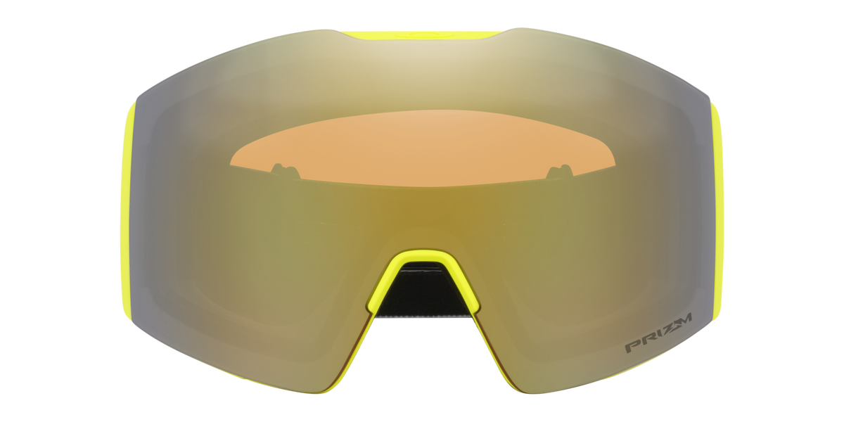 Fall Line L Snow Goggle