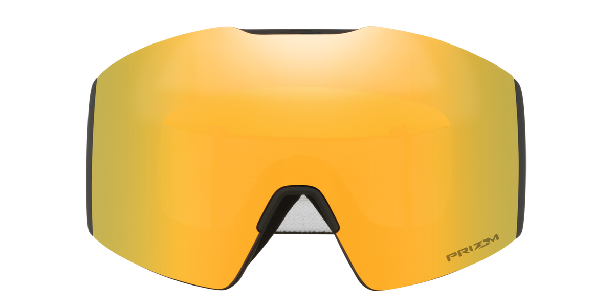 Fall Line L Snow Goggle