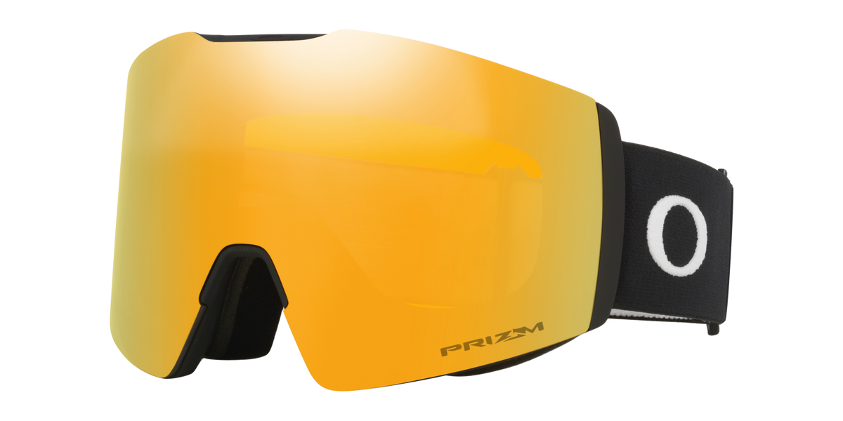Fall Line L Snow Goggle