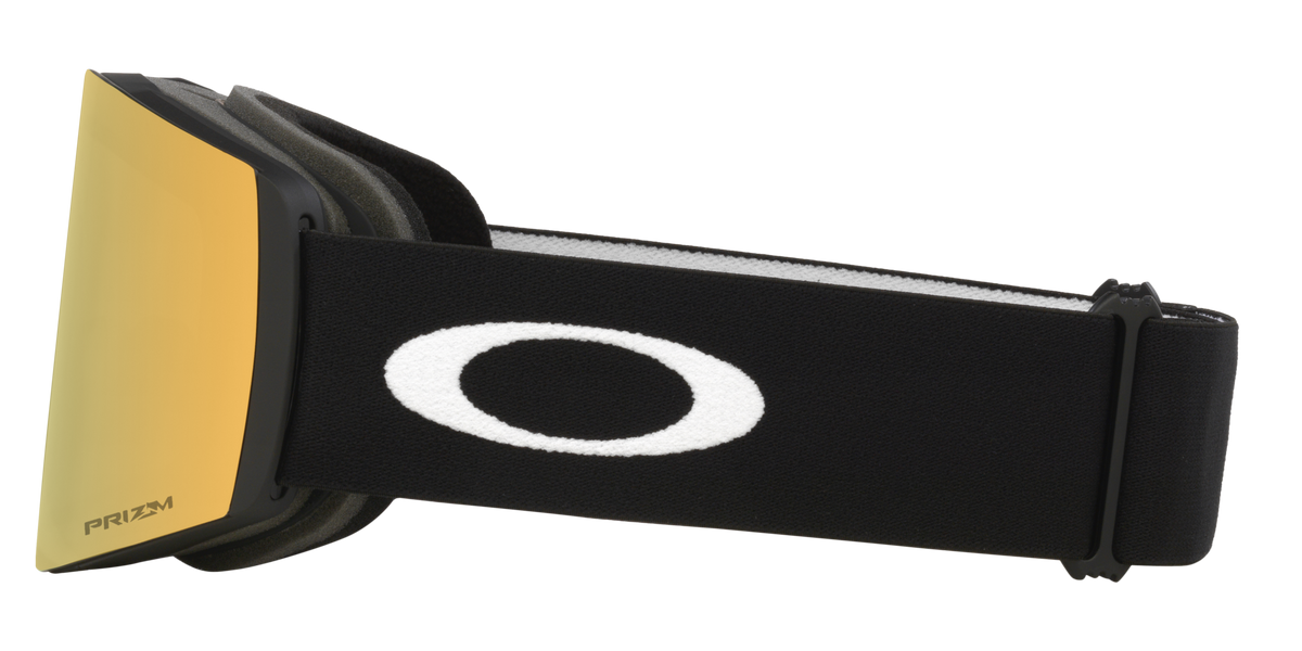 Fall Line L Snow Goggle