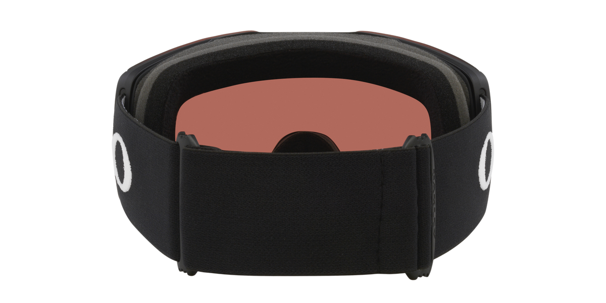 Fall Line L Snow Goggle