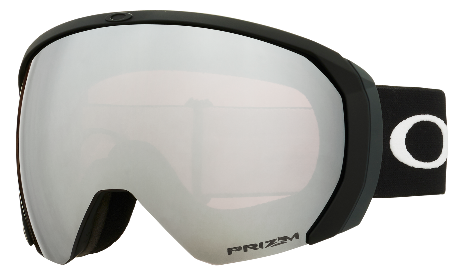 Flight Path L Snow Goggle