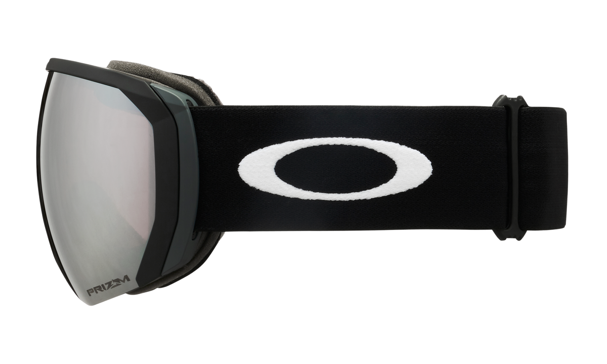 Flight Path L Snow Goggle