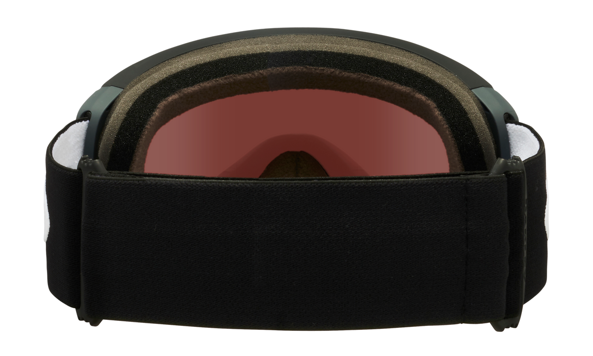 Flight Path L Snow Goggle